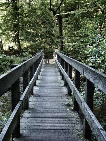 nattow straight wooden bridge crossing a river in wooded green forest