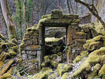 the remains of a derelict abandoned stone house covered in moss and overgrown with trees in a forest in west yorkshire englandの写真素材