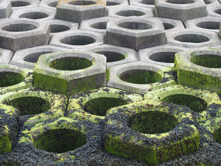 concrete defensive sea wall showing seaweed on the high tide mark and the precast hexagonal constructionの写真素材
