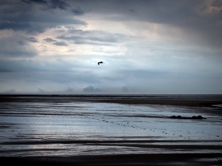 heavy rain falling on a dark beach at low tide with dramatic storm clouds reflected on the wet sand...