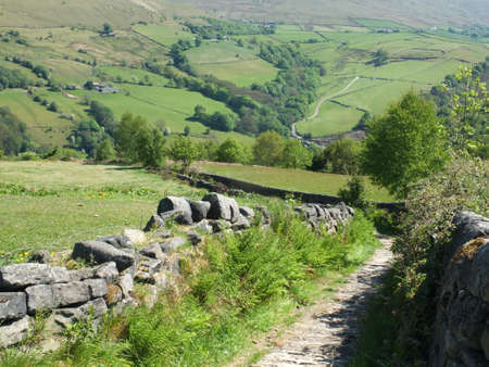 a narrow country lane surrounded by stone walls and ferns in a west yorkshire dales landscape in the...