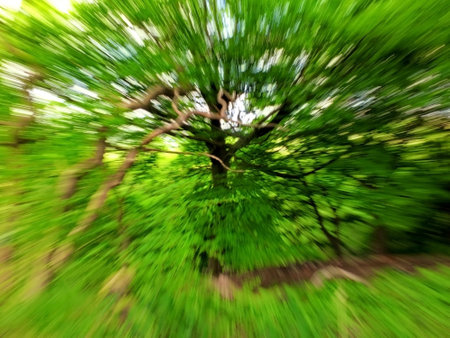 vibrant summer green abstract zoom blur of woodland tree and leavesの写真素材