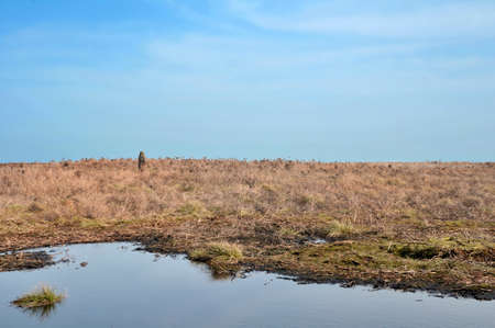 high pennine moorland on midgley moor in calderdale with a small pond reflecting the sky surrounded...
