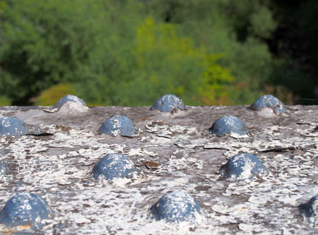 close up of an ornate old steel railing painted blue on the bridge over the river calder in...