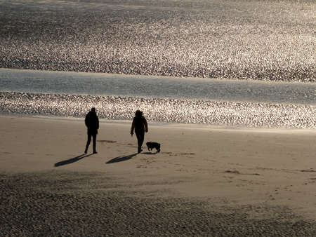 couple backlit by sunlight walking on the beach with a pet dog in the early evening with light reflected on the waterの写真素材