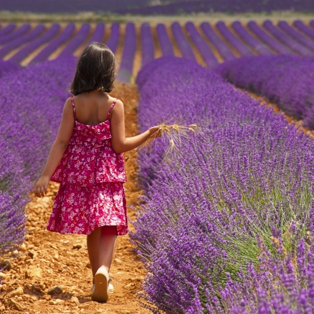 Provenceの写真素材