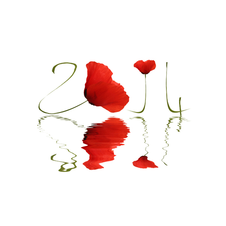 2014 の写真素材