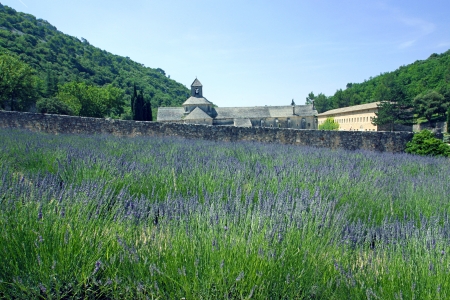 Senanque Abbey in the South of Franceの写真素材