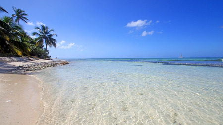 Republique Dominicaine - Bayahibeの写真素材