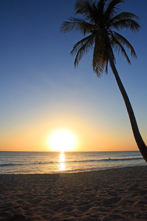 Republique Dominicaine - Bayahibeの写真素材