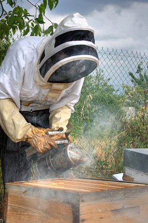 Beekeeper