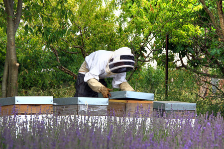 Beekeeperの写真素材