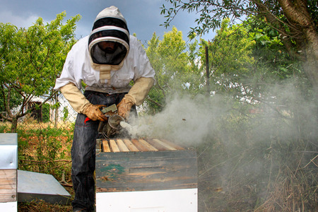 Beekeeper