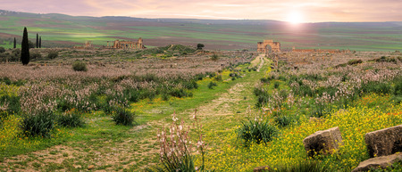 Volubilis, Roman city of antiquity in Moroccoの写真素材