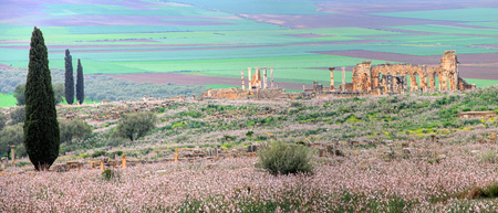 Volubilis, Roman city of antiquity in Moroccoのeditorial素材