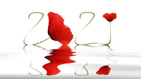 Happy new year 2021 with poppiesの写真素材