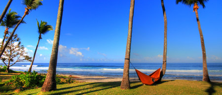 Grande Anse Beach, Reunion Island, Franceの写真素材