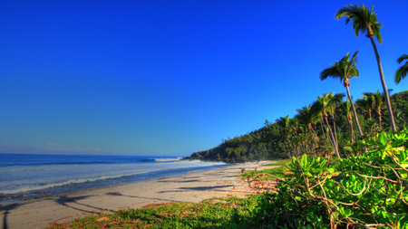 Grande Anse Beach, Reunion Island, Franceの写真素材