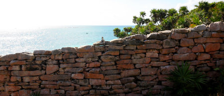Iguana in the Caribbean - Tulum - Mexicoの写真素材