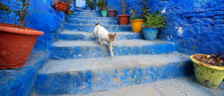 Chefchaouene in Moroccoの写真素材