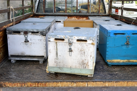 Hives of bees on a truck.の写真素材