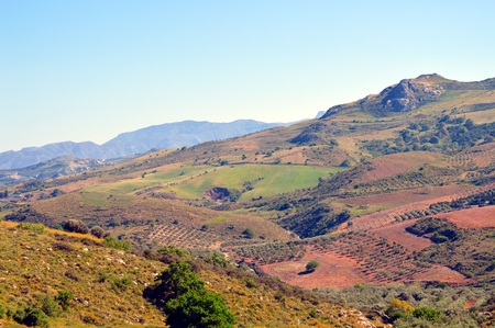 Seen on the cultures of olive trees with hills and rocks.の写真素材