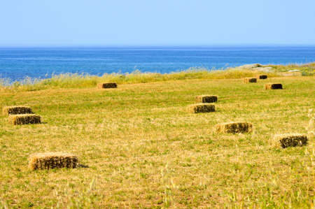 Straw bales in a field facing the sea in the south of Creteの写真素材