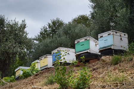 Several hives of different colors pose on tires in the countryside on the island of Creteの写真素材