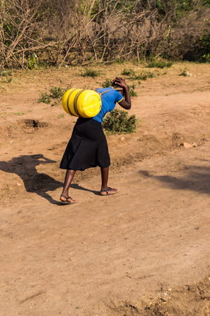 Masai woman carrying a can of water on her back in the savannah of Maasai Mara in North West Kenyaの写真素材