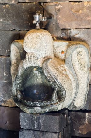Carved suspended stone urinal in the shape of an elephant head in a wildlife park in northwestern Belgiumの写真素材