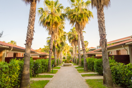 Bungalows lined with palm trees of Campofelice di Roccella in northern Sicily in Italyの写真素材
