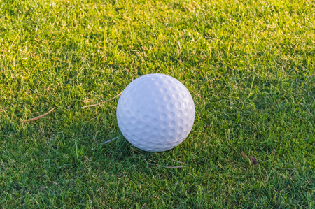 Golf ball on the grass of a course near Santa Cruz on the island of Tenerifeの写真素材