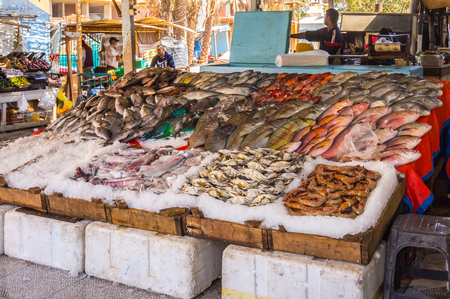 Display of different fishes fishing in the Red Sea on the walk of the old marina of the city of Hurghada in Egyptのeditorial素材