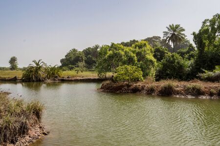 View of a small lake in a park in the central wetlands of The Gambia, West Africa