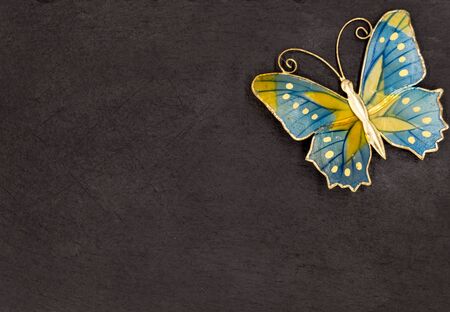 A butterfly on a black slate background place in the right cornerの写真素材