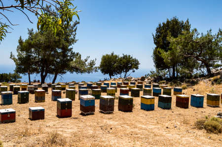 Colorful wooden beehives among the trees facing the sea in the mountains of Creteの写真素材
