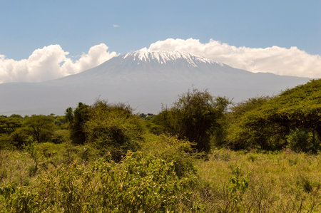 Snow capped Kenya's Kilimanjaro mountain under cloudy blue sky captured on Kenya Africa safari.の写真素材