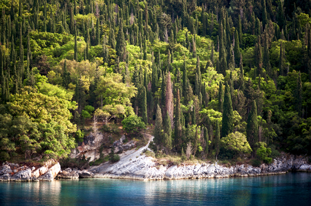 The beautiful azure waters of the Ionian Sea and Mediterranean cypress trees at Foki Bay near Fiskardo on the east coast of the Greek island of Kefalonia.の写真素材