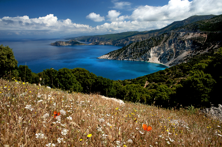 Myrtos Bay, Kefalonia, Greece. View of the eastern coastline of Kefalonia and the deep blue Ionian Sea near the popular Myrtos beach, viewed from a hillside covered in spring flowers.の写真素材