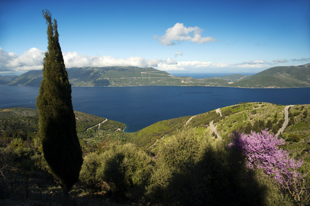 A panoramic view across the Ionian Sea from the Greek island of Kefalonia to the neighboring island of Ithaca with a tall Mediterranean cypress tree and pink spring blossoms in the foreground.の写真素材
