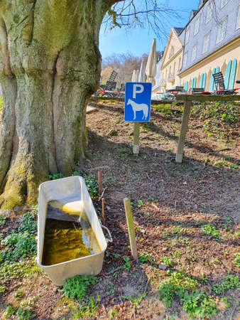Horse Parking with a water statonの写真素材