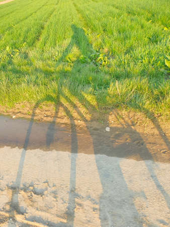 Bicycle Bike driver shadow in a fieldの写真素材