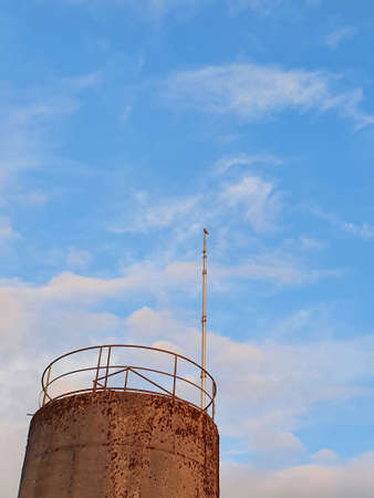 Raptor at the top of a poleの写真素材