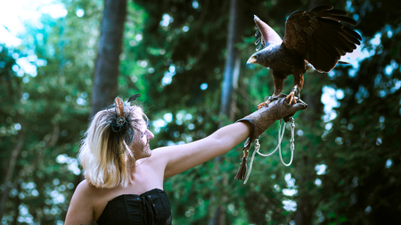 Wonderful harris hawk with a model