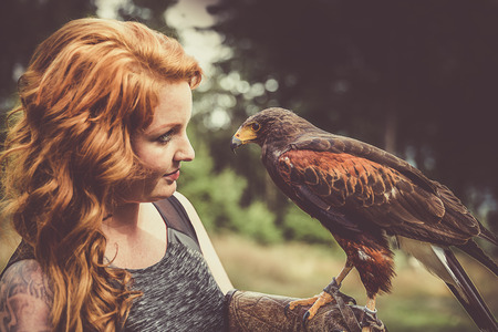 Wonderful harris hawk with a modelの写真素材