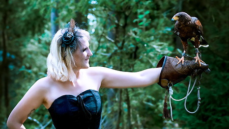 Wonderful harris hawk with a modelの写真素材