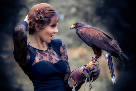 Wonderful harris hawk with a modelの写真素材