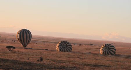 SAFARI EN MONTGOLFIERE SERENGETI PARK TANZANIE - SAFARI SERENGETI PARK BALLOONINGの写真素材