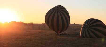 SAFARI EN MONTGOLFIERE SERENGETI PARK TANZANIE - SAFARI SERENGETI PARK BALLOONINGの写真素材