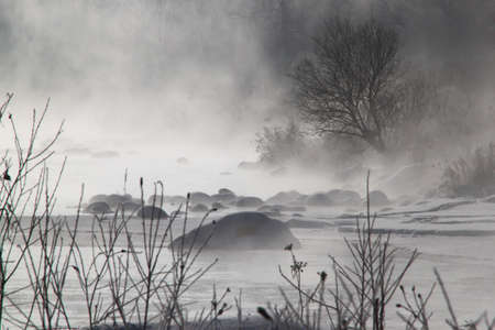 Yichun is located in the core area of the Xiaoxinganling on the southern edge of Siberia. Winter is extremely cold, but the forest area is very foggy, so there are often clouds and mists floating around.の写真素材